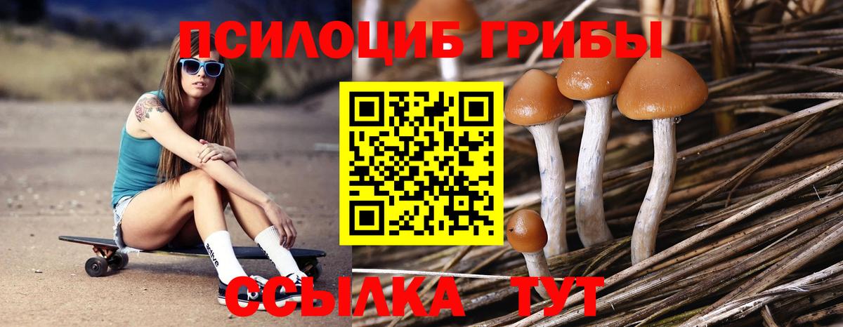 Галлюциногенные грибы Psilocybine cubensis  Вход с VPN  Пушкино  Псилоцибиновые грибы MAGIC MUSHROOMS 